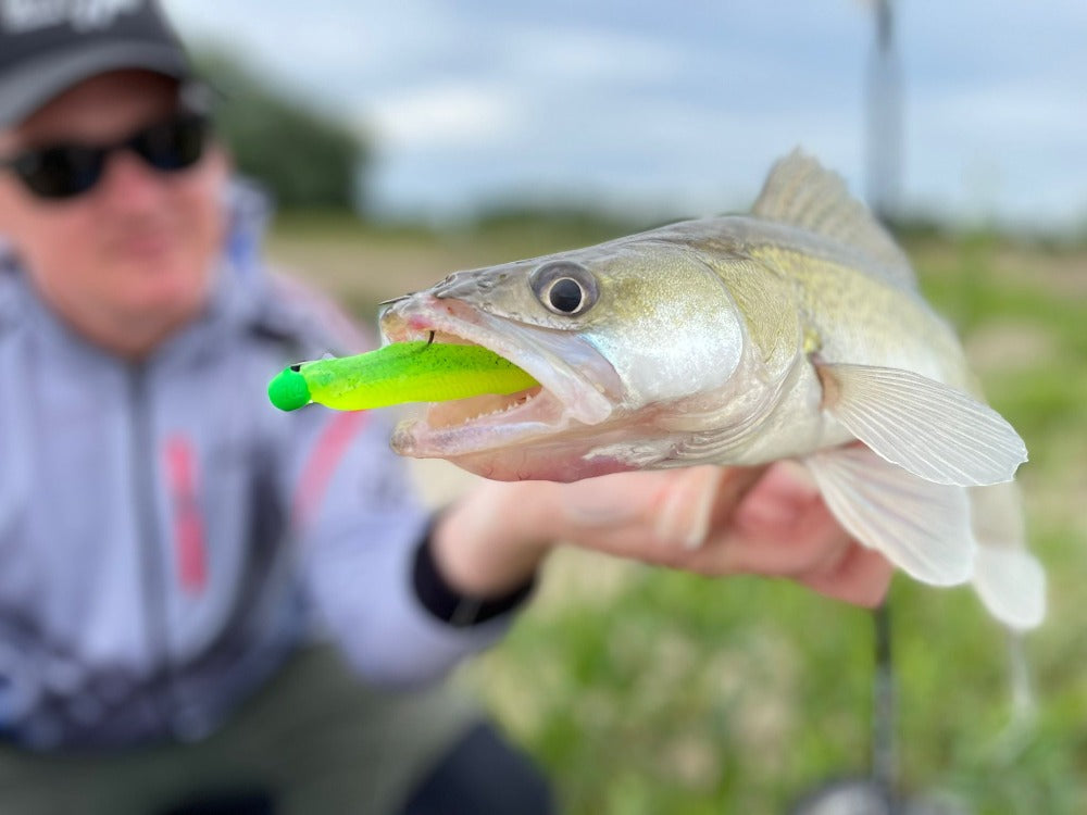 Strepen Tungsten Ronde Jig 5/0